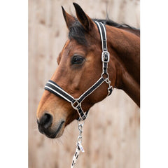 Set capezza e longhina - Kopenhagen -