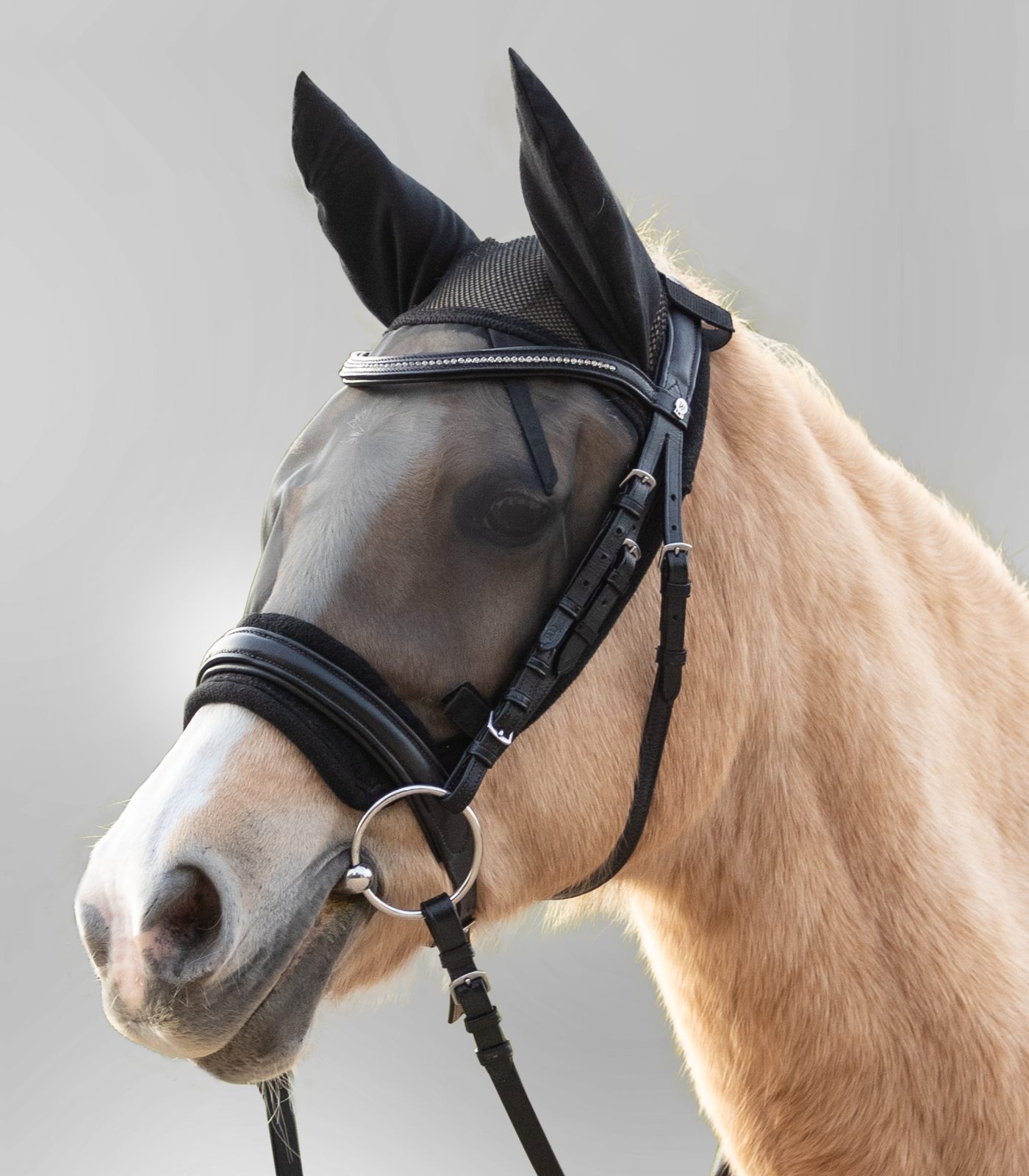 Maschera Antimosche Per Cavalli Con Protezione Orecchie E Naso - Taglia COB, Colore Nero