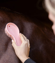 Spazzola All-in-one grigio/rosa