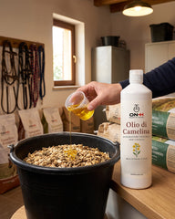Olio di Camelina, Omega 3