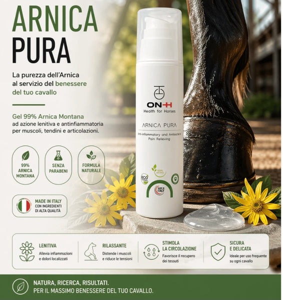 Arnica pura - antinfiammatorio