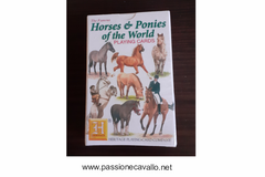 Carte francesi da gioco con cavalli e pony.