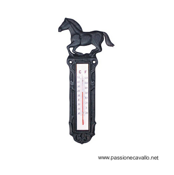 Termometro in ghisa con: altezza circa 25,4 cm, larghezza circa 8 cm
