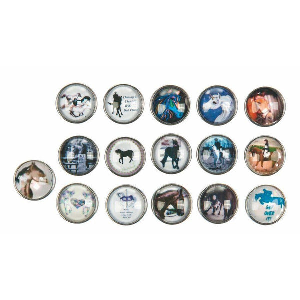 16 "bottoni" decorativi a tema cavalli